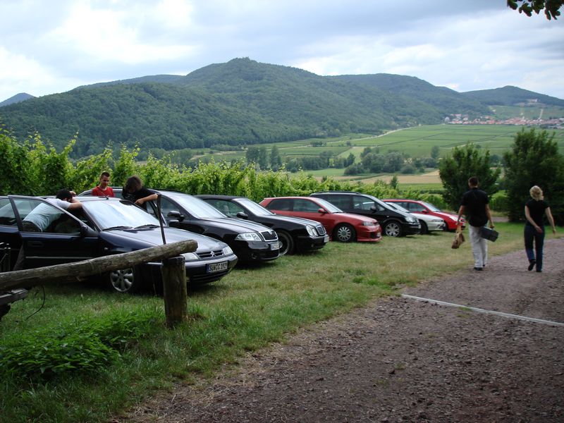 Review zum 3. Treffen in der Südpfalz (19.7.2008)